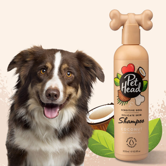 Bestes Hundeshampoo für empfindliche Haut | Pet Head Sensitive Soul